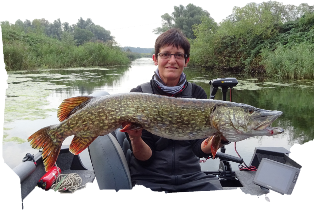 Pêche aux leurres durs : une belle journée d'automne en rivière