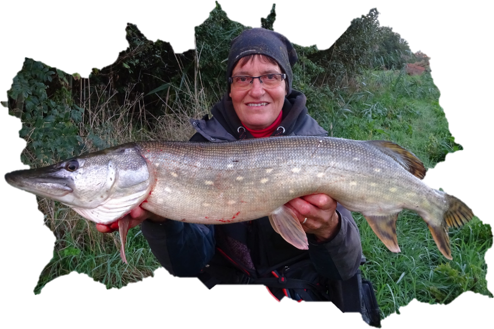 Les 6 meilleurs leurres à brochet selon 75 pêcheurs. - Pêche 101